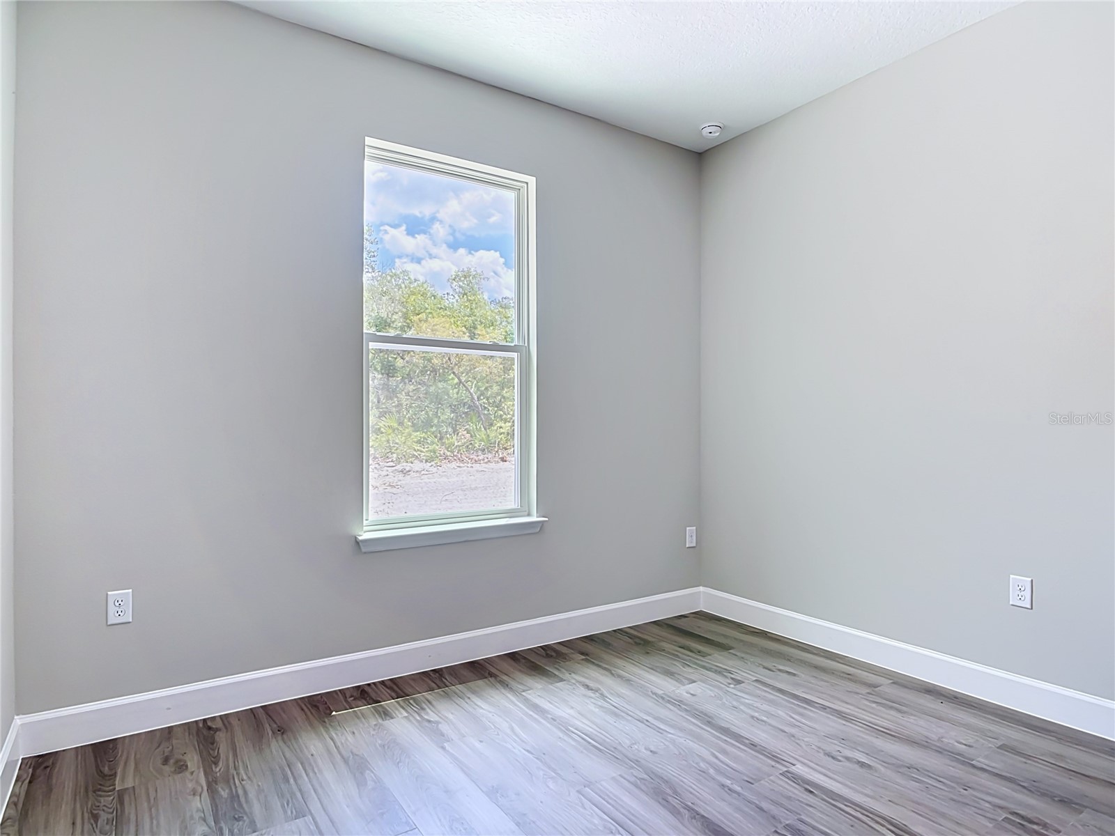 41260 Balsam Street Eustis FL 32736 O6402528 image28
