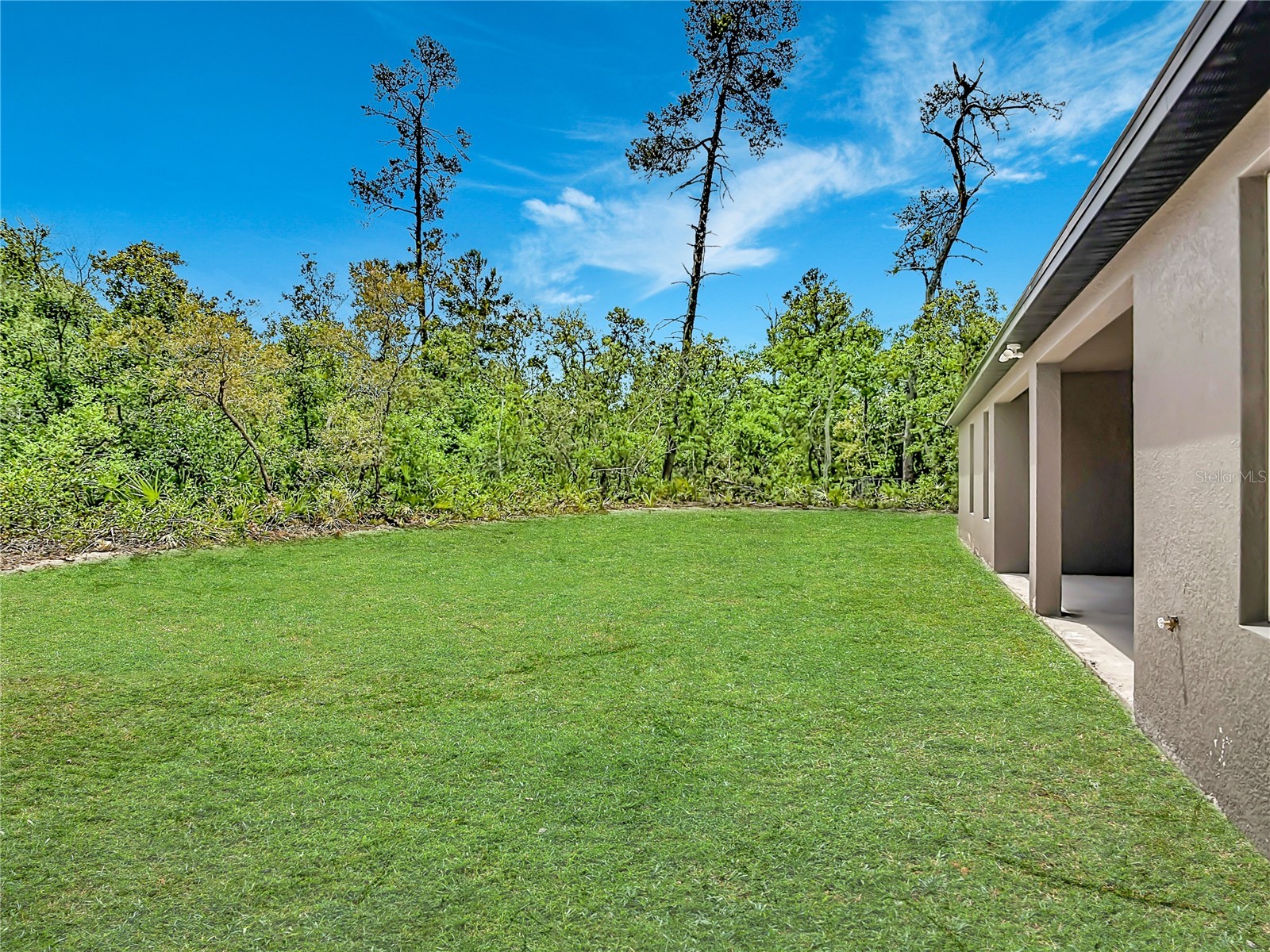 41260 Balsam Street Eustis FL 32736 O6402528 image48