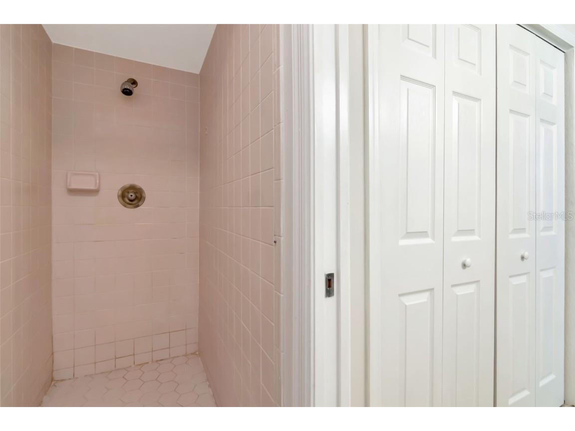 4127 Brentwood Park Circle Tampa FL 33624 TB8443522 image28