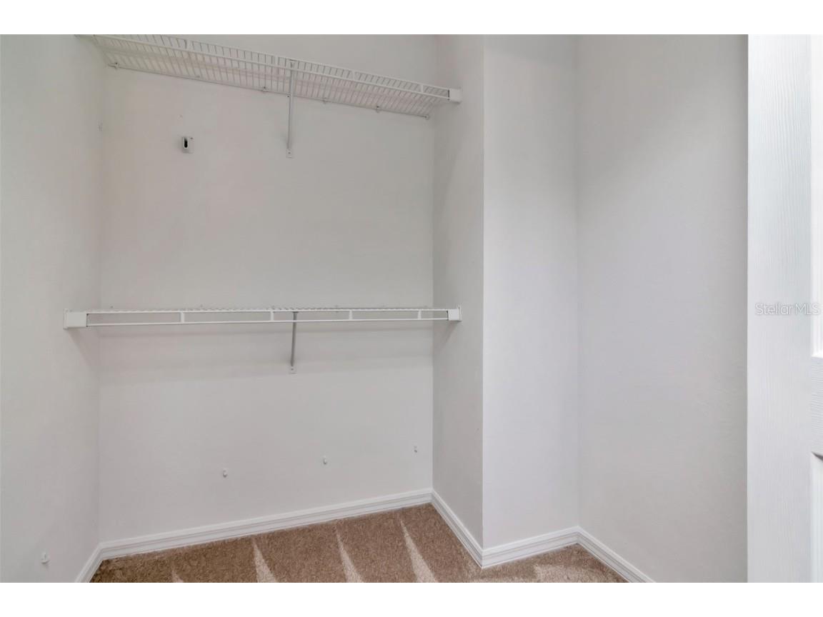 4127 Brentwood Park Circle Tampa FL 33624 TB8443522 image29