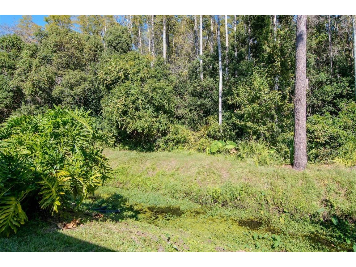 4127 Brentwood Park Circle Tampa FL 33624 TB8443522 image37