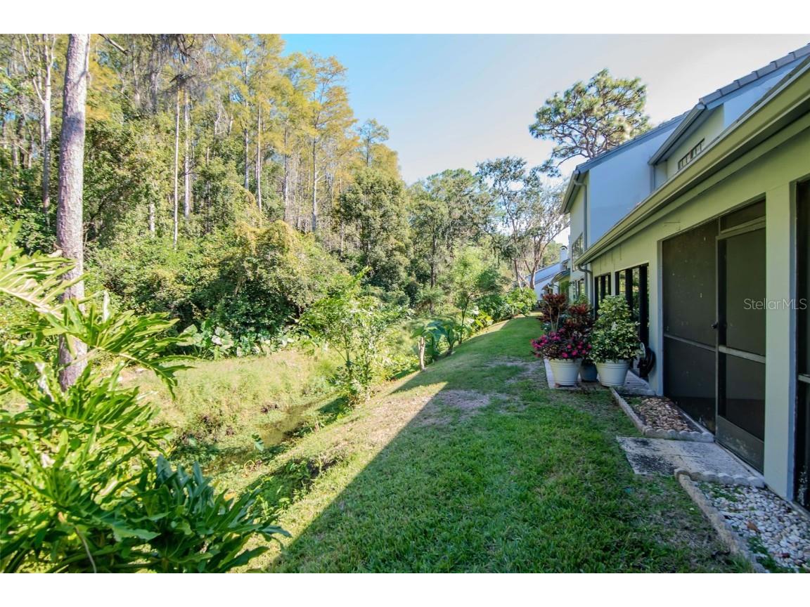 4127 Brentwood Park Circle Tampa FL 33624 TB8443522 image39