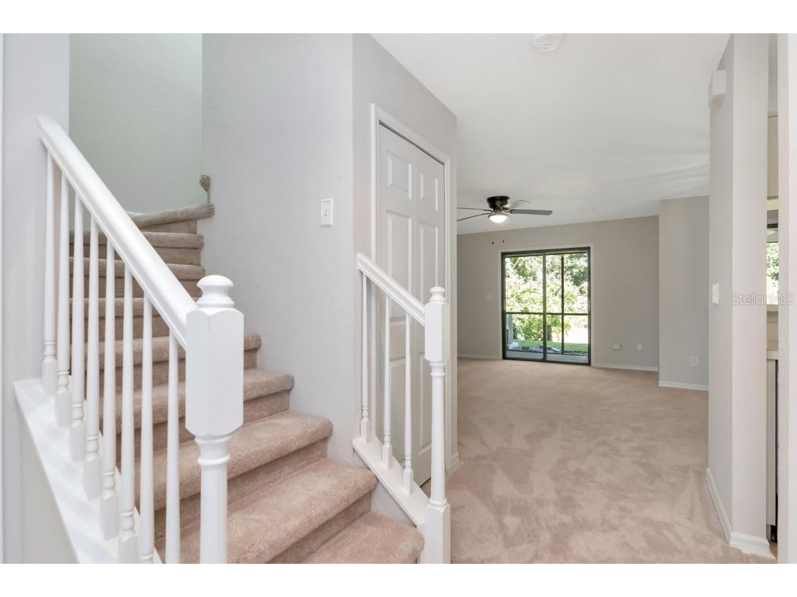 4127 Brentwood Park Circle Tampa FL 33624 TB8443522 image8