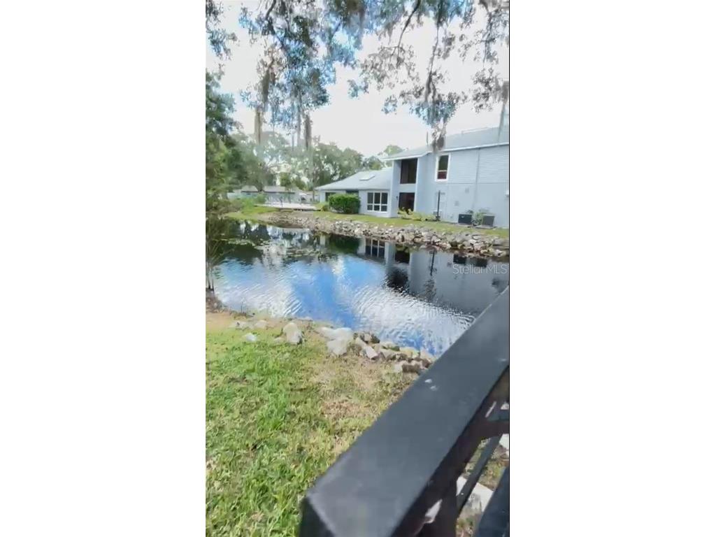 4127 Dolphin Drive #4127 Tampa FL 33617 O6343715 image23