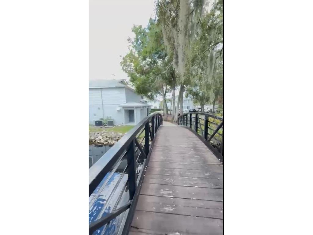 4127 Dolphin Drive #4127 Tampa FL 33617 O6343715 image24