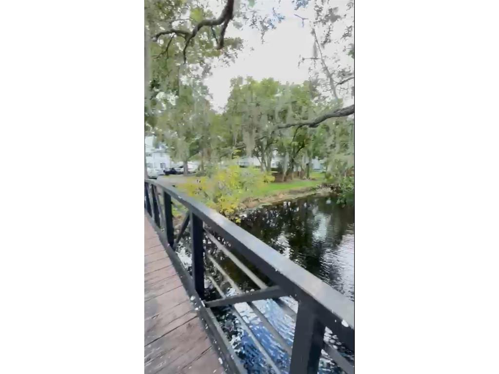 4127 Dolphin Drive #4127 Tampa FL 33617 O6343715 image25