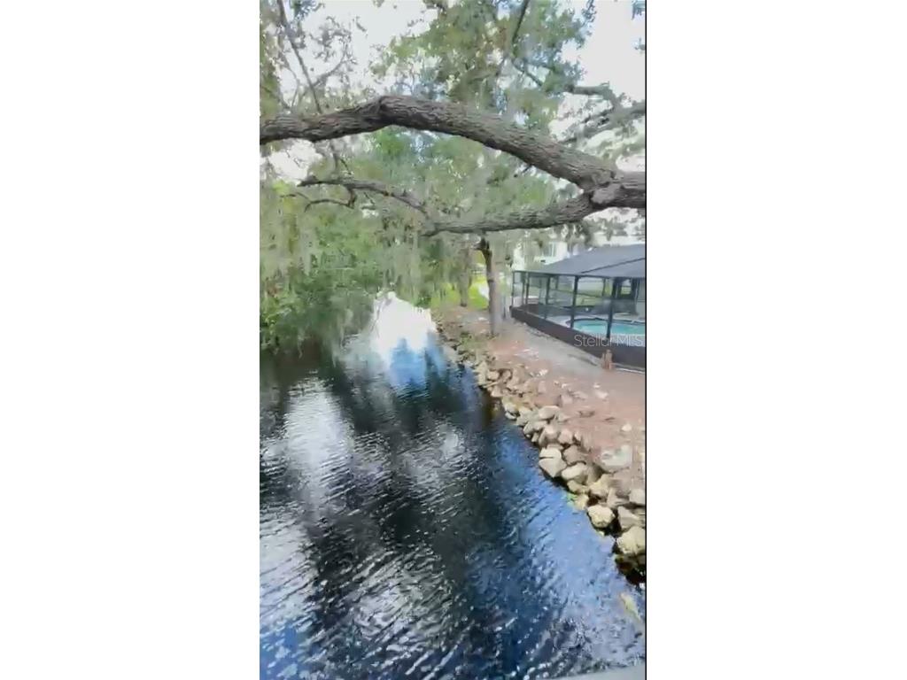 4127 Dolphin Drive #4127 Tampa FL 33617 O6343715 image26