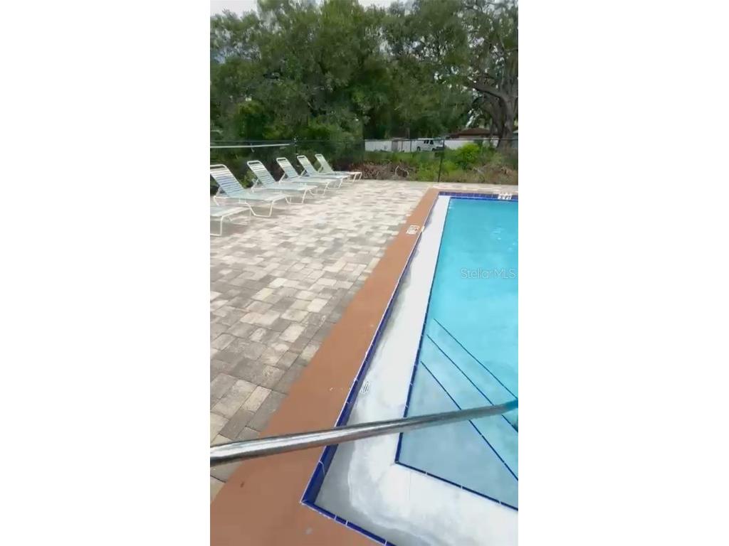 4127 Dolphin Drive #4127 Tampa FL 33617 O6343715 image35