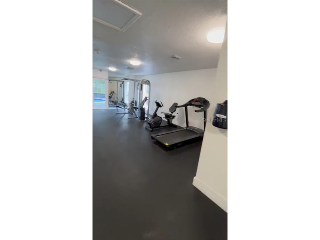 4127 Dolphin Drive #4127 Tampa FL 33617 O6343715 image36