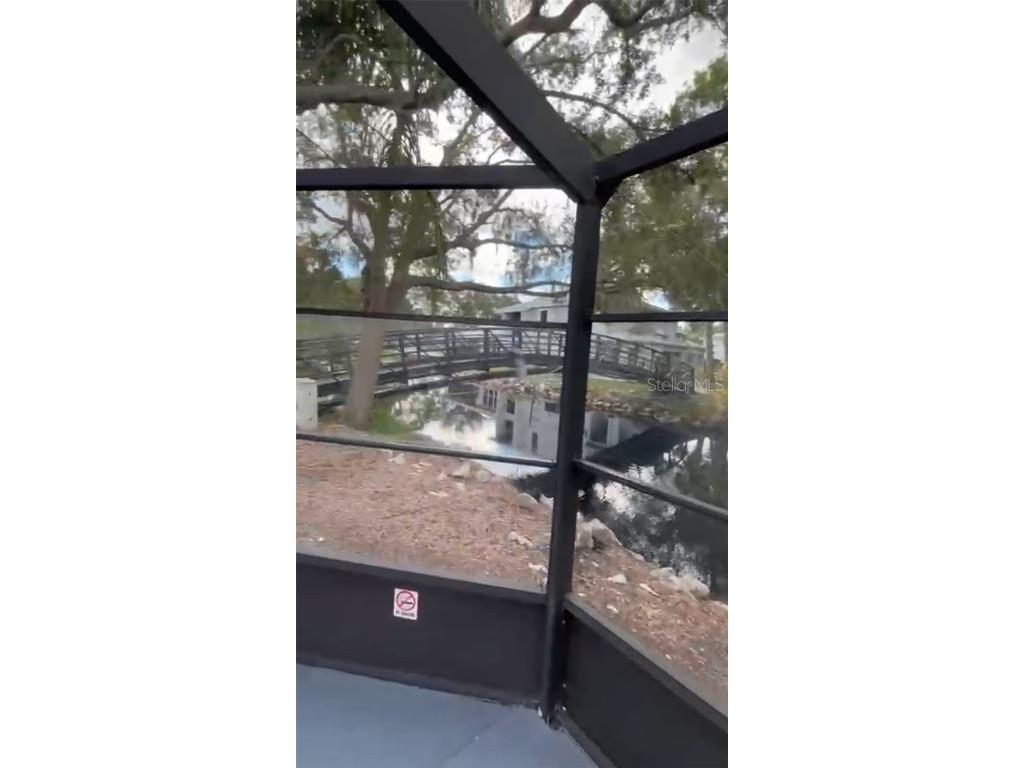 4127 Dolphin Drive #4127 Tampa FL 33617 O6343715 image39