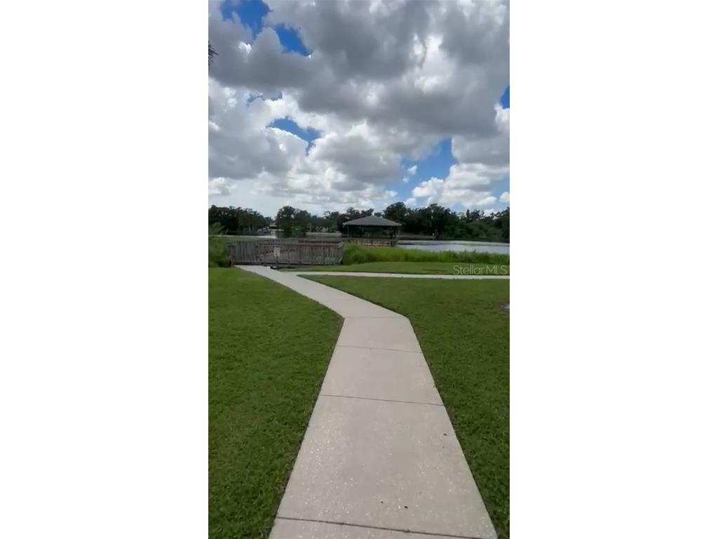 4127 Dolphin Drive #4127 Tampa FL 33617 O6343715 image41