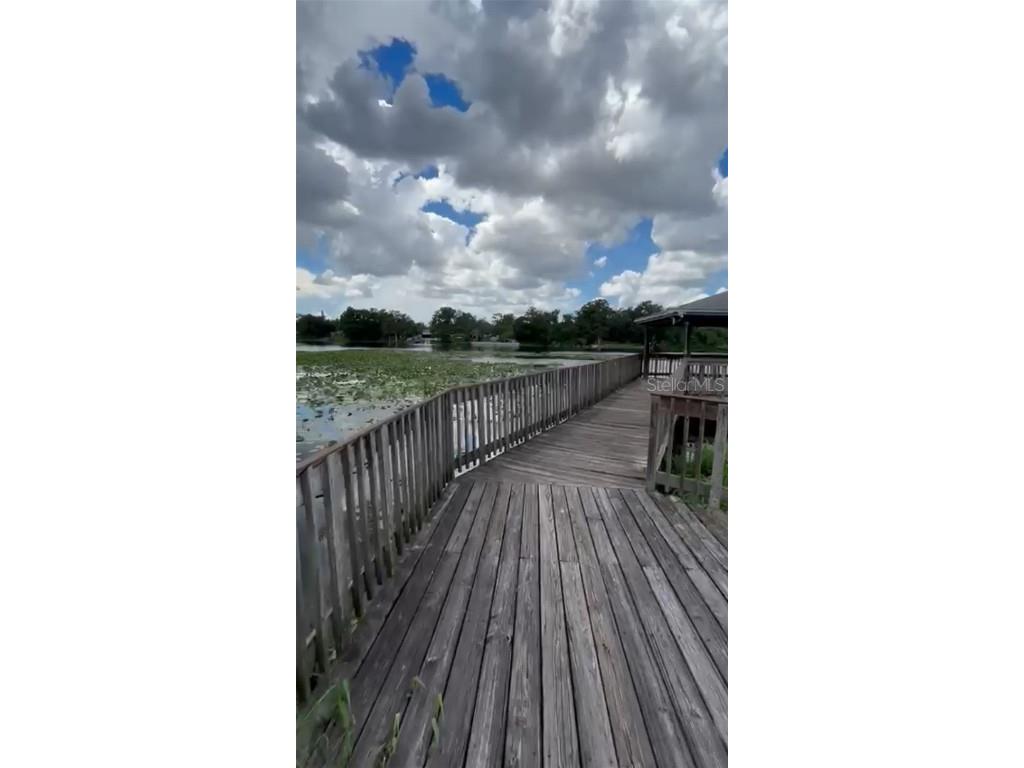 4127 Dolphin Drive #4127 Tampa FL 33617 O6343715 image43