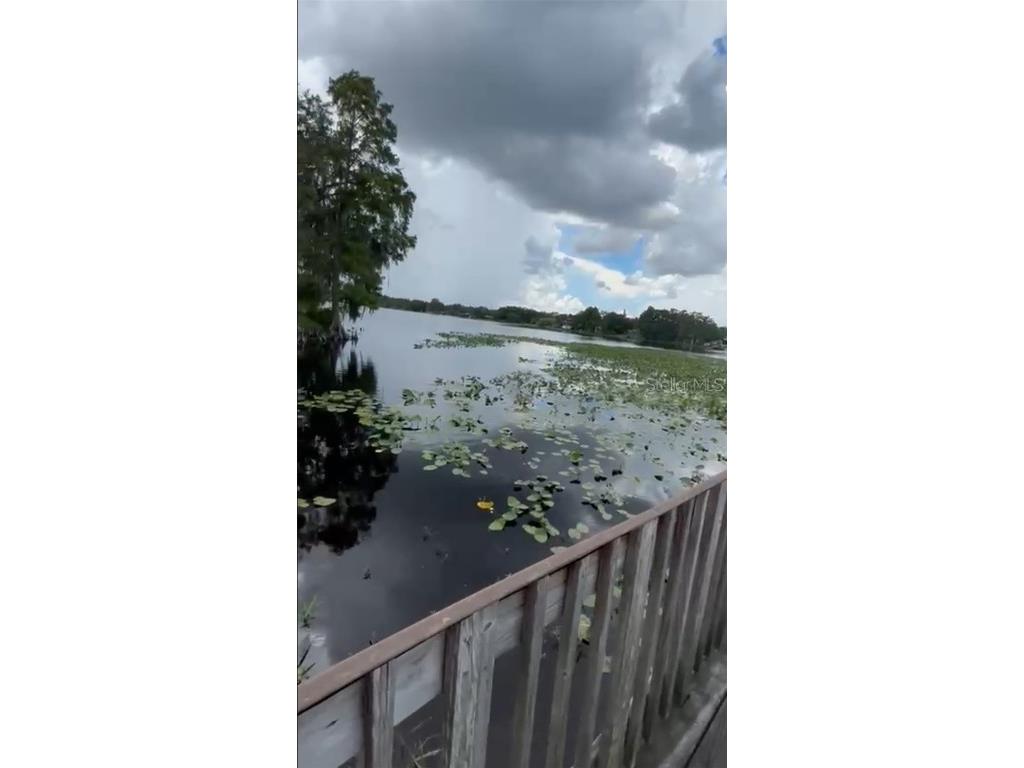 4127 Dolphin Drive #4127 Tampa FL 33617 O6343715 image44