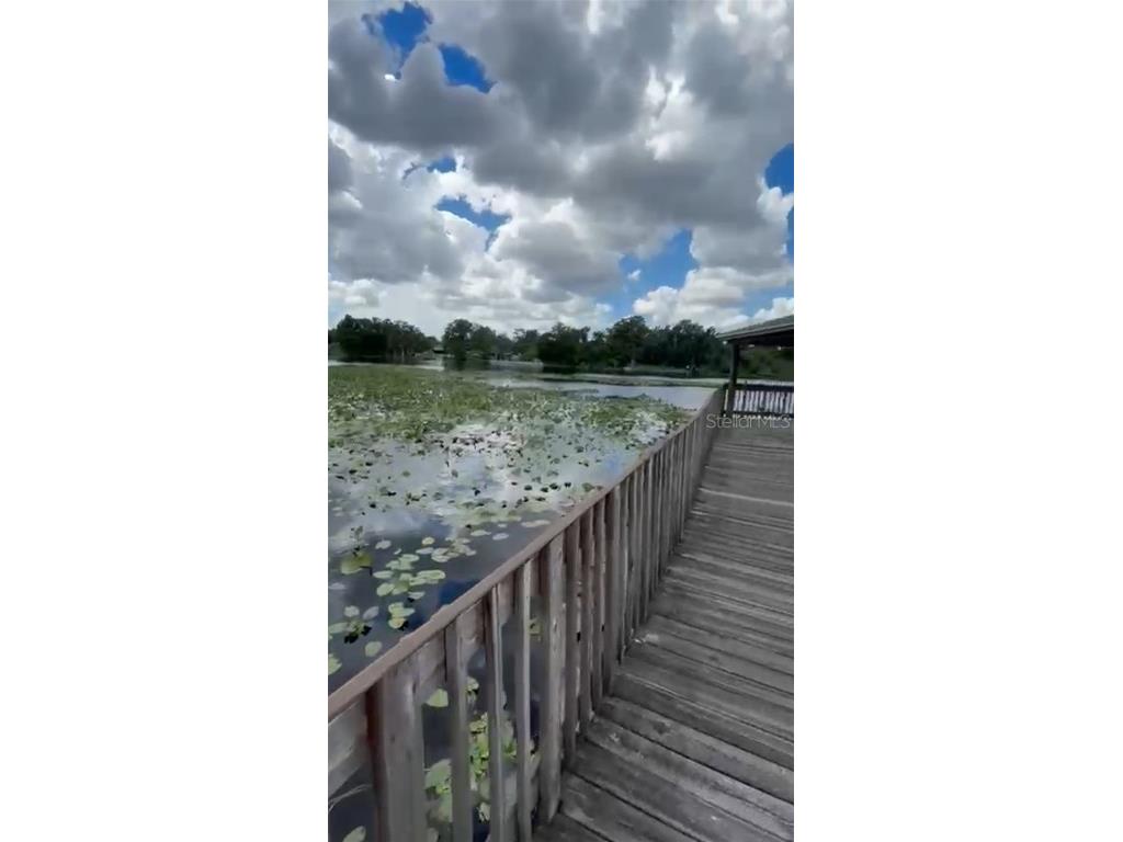 4127 Dolphin Drive #4127 Tampa FL 33617 O6343715 image45