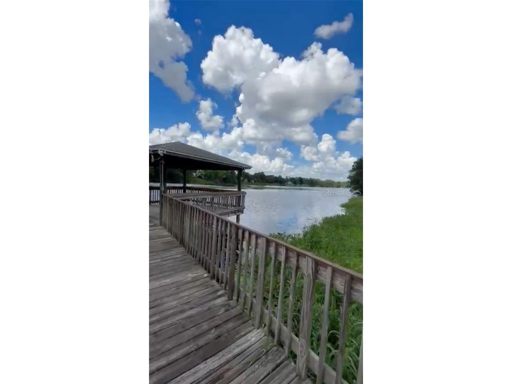 4127 Dolphin Drive #4127 Tampa FL 33617 O6343715 image46