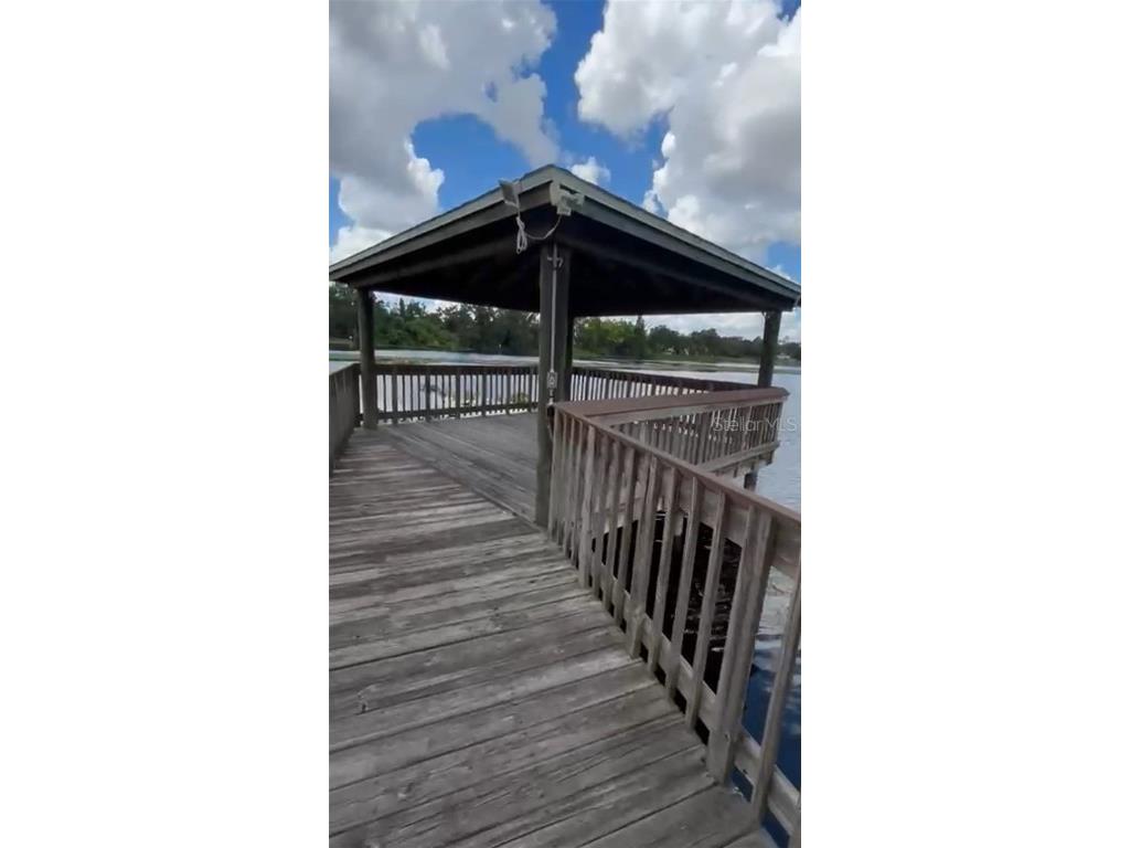 4127 Dolphin Drive #4127 Tampa FL 33617 O6343715 image47