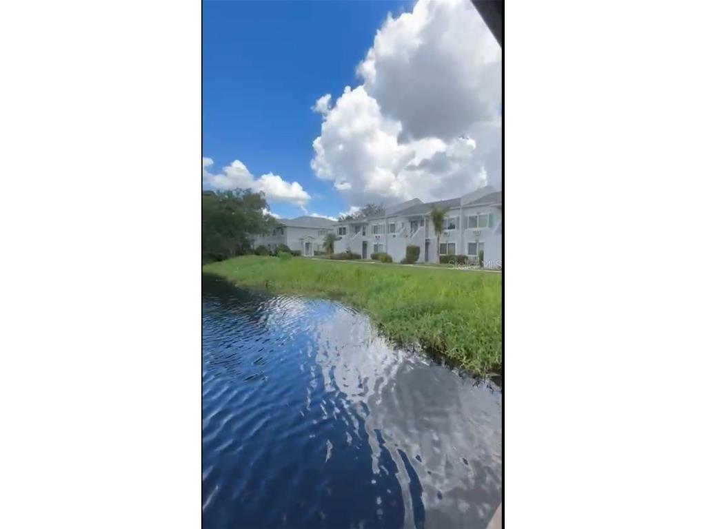 4127 Dolphin Drive #4127 Tampa FL 33617 O6343715 image50