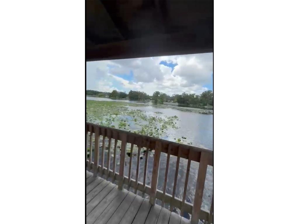 4127 Dolphin Drive #4127 Tampa FL 33617 O6343715 image52