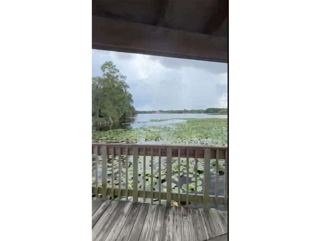 4127 Dolphin Drive #4127 Tampa FL 33617 O6343715 image53