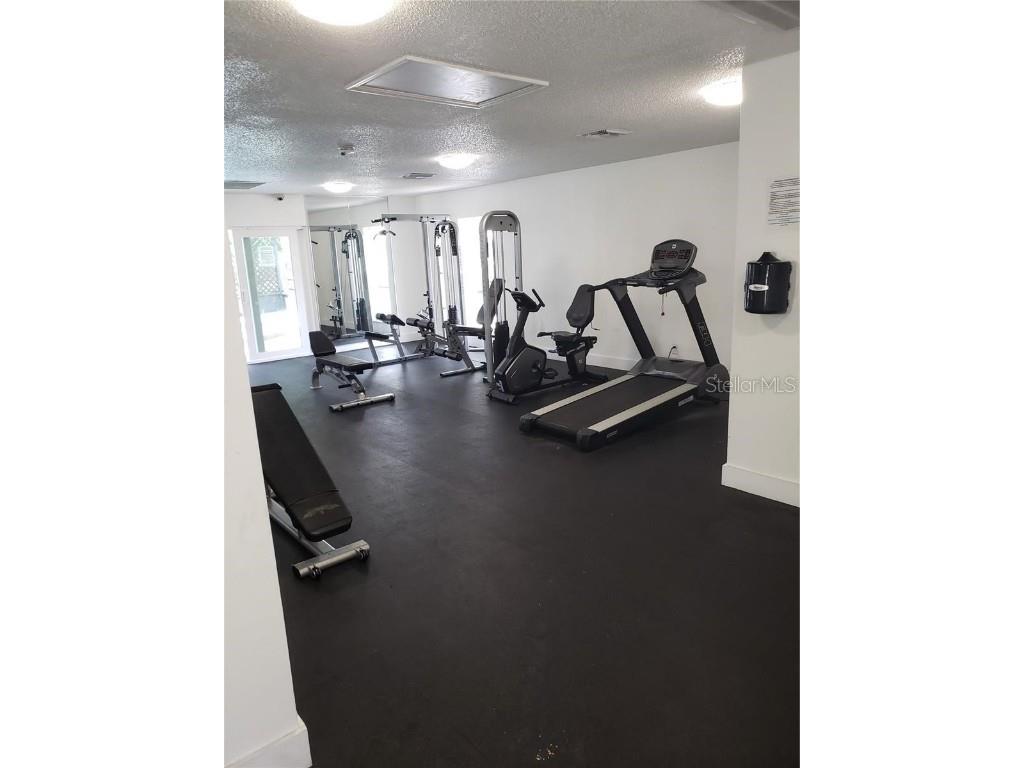 4127 Dolphin Drive #4127 Tampa FL 33617 O6355399 image11