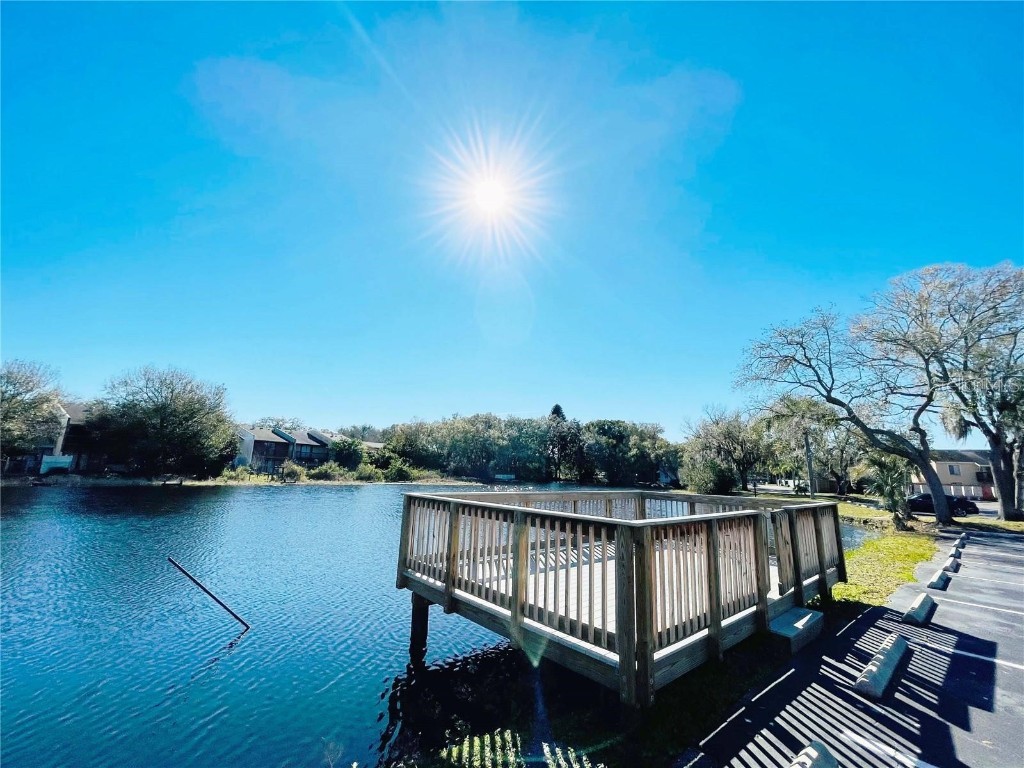 4127 Dolphin Drive #4127 Tampa FL 33617 O6355399 image15