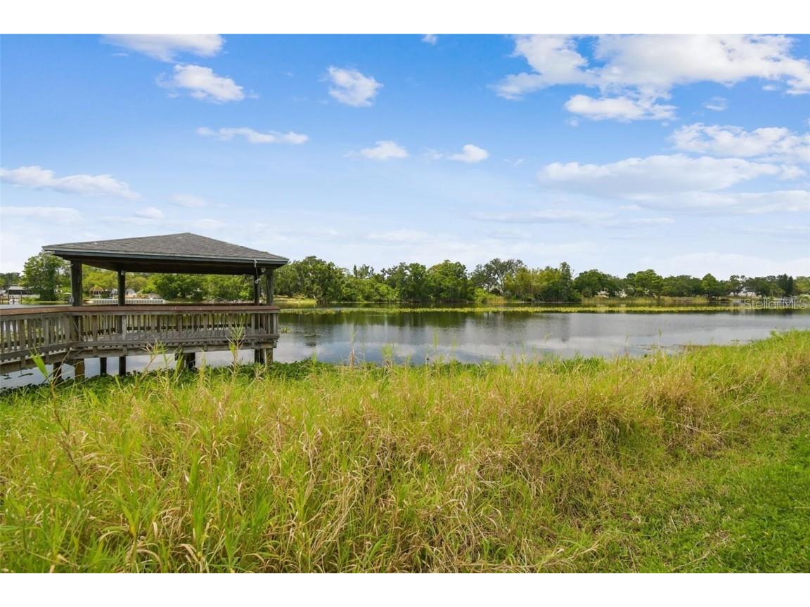 4127 Dolphin Drive #4127 Tampa FL 33617 O6355399 image17