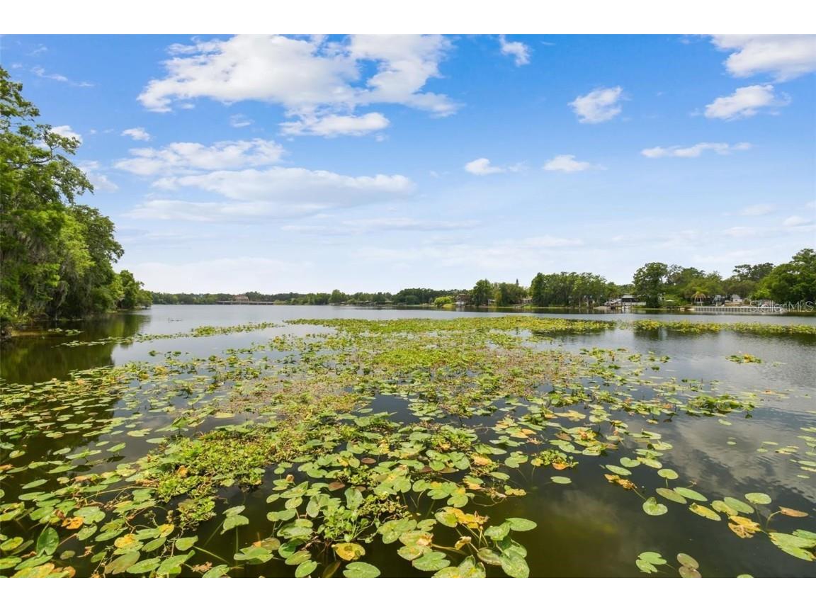 4127 Dolphin Drive #4127 Tampa FL 33617 O6355399 image20