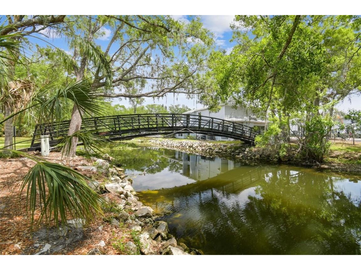 4127 Dolphin Drive #4127 Tampa FL 33617 O6355399 image21