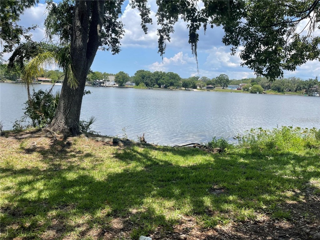 4127 Dolphin Drive #4127 Tampa FL 33617 O6355399 image22