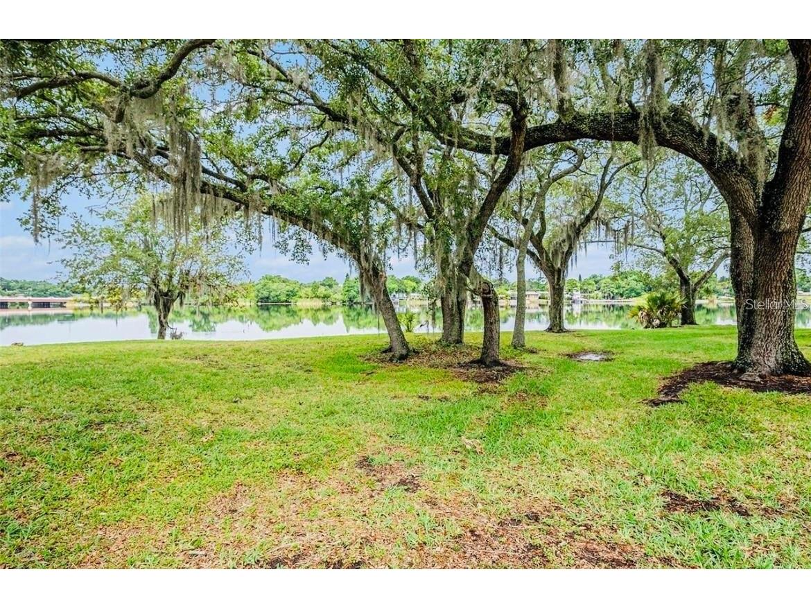 4127 Dolphin Drive #4127 Tampa FL 33617 O6355399 image23