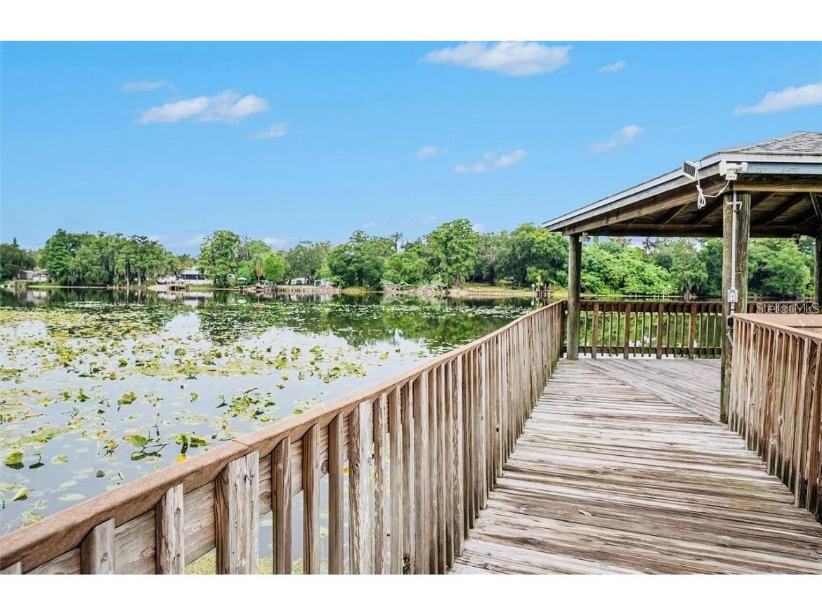 4127 Dolphin Drive #4127 Tampa FL 33617 O6355399 image25