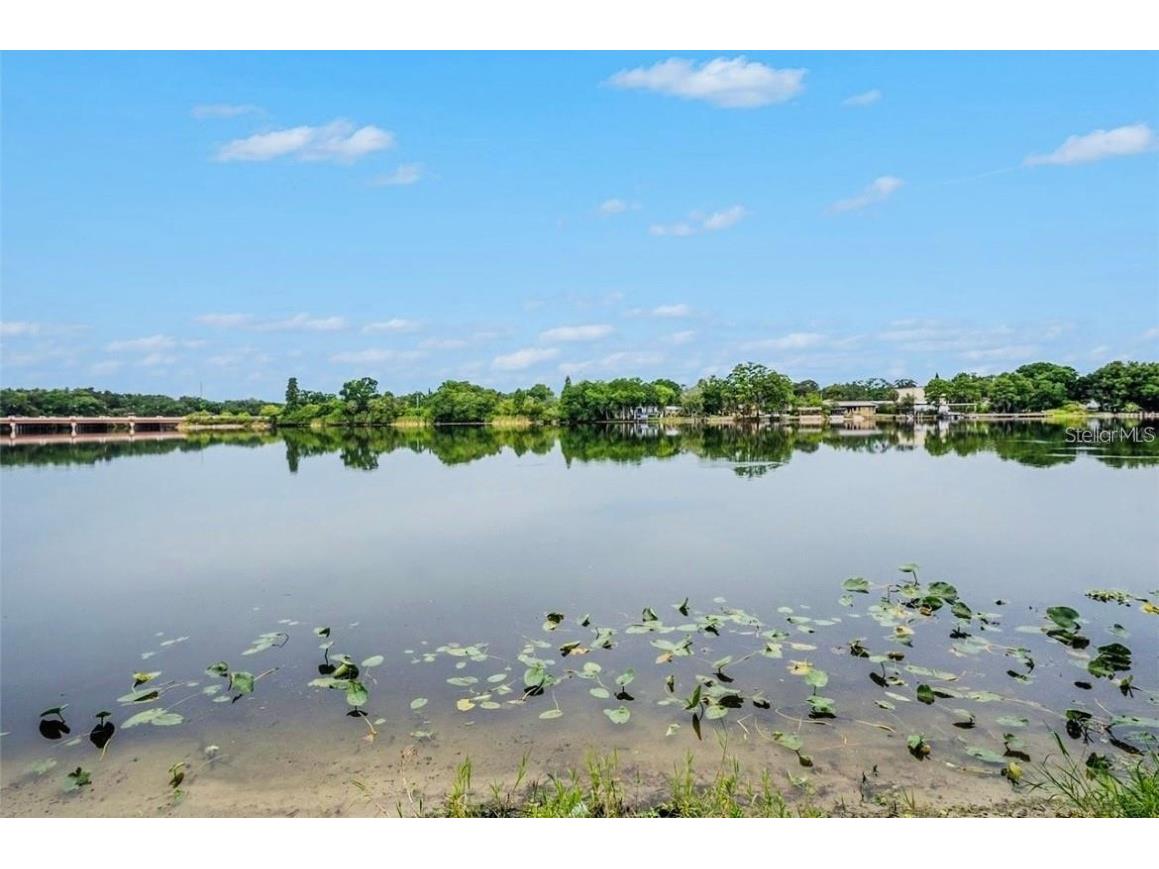 4127 Dolphin Drive #4127 Tampa FL 33617 O6355399 image27