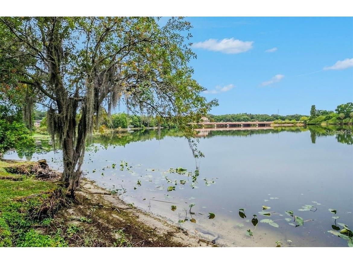 4127 Dolphin Drive #4127 Tampa FL 33617 O6355399 image28