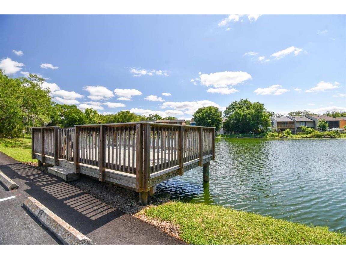 4127 Dolphin Drive #4127 Tampa FL 33617 O6355399 image29