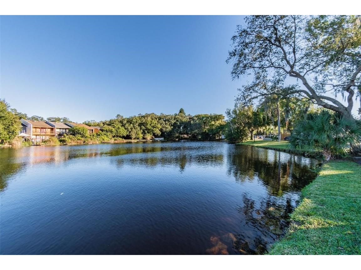 4127 Dolphin Drive #4127 Tampa FL 33617 O6355399 image34