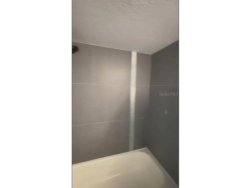 4127 Dolphin Drive #4127 Tampa FL 33617 O6355399 image38