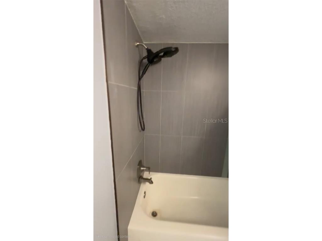 4127 Dolphin Drive #4127 Tampa FL 33617 O6355399 image39