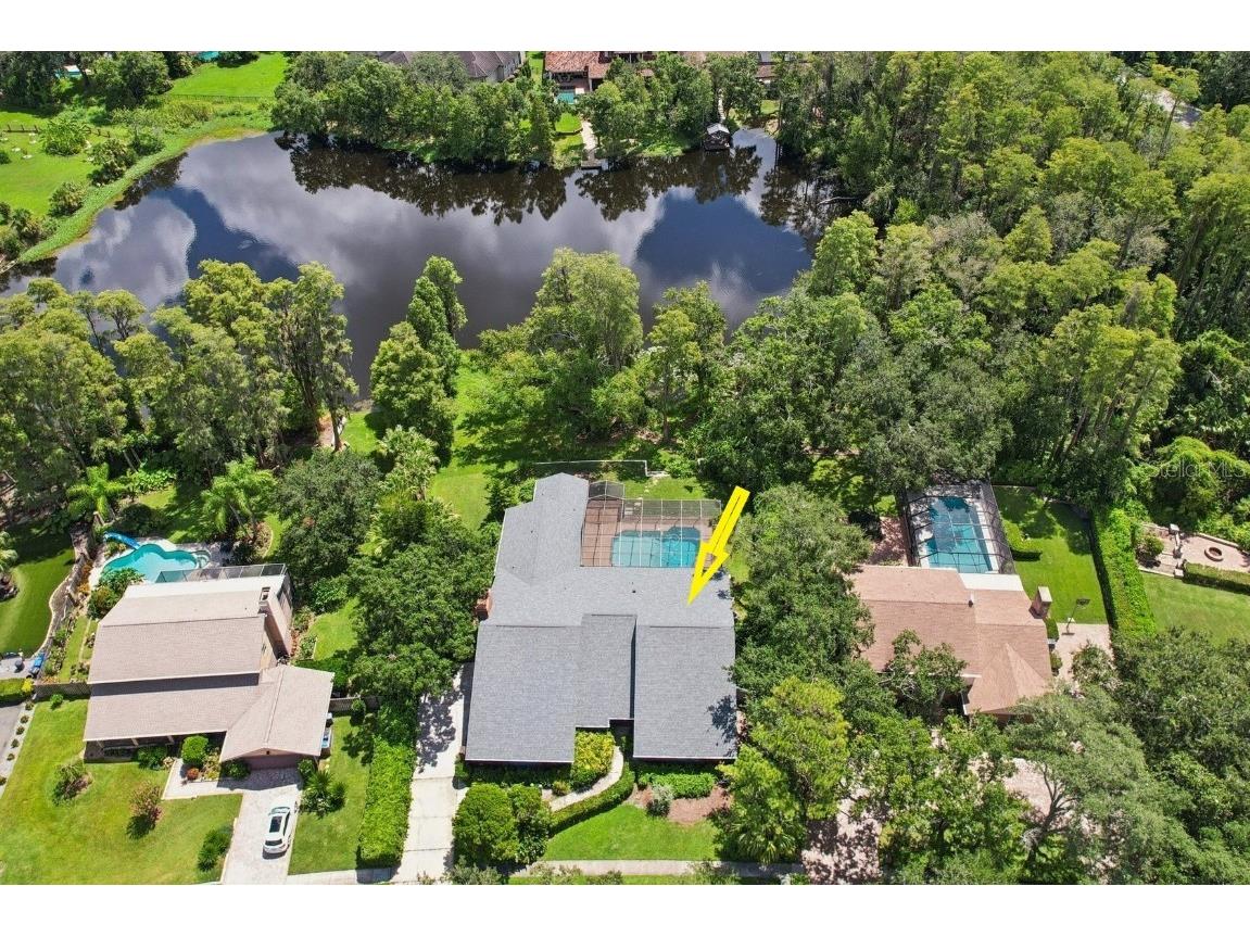 4128 Carrollwood Village Drive Tampa FL 33618 TB8402185 image1
