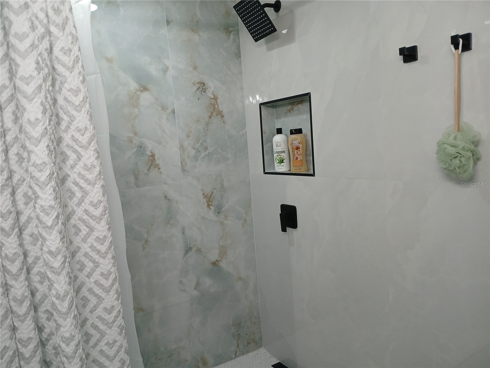 4129 Dolphin Drive #1 Tampa FL 33617 TB8471475 image5