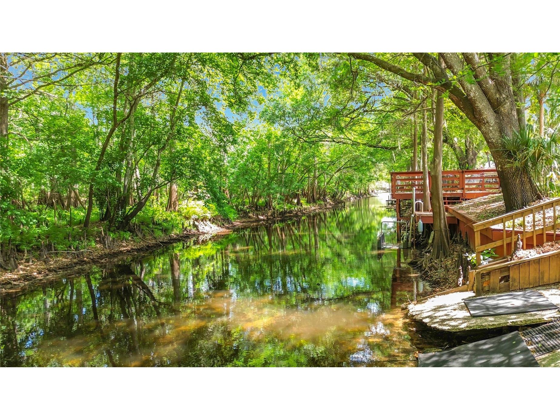 4129 E Riverside Drive Dunnellon FL 34434 - WITHLACOOCHEE RIVER OM722277 image10