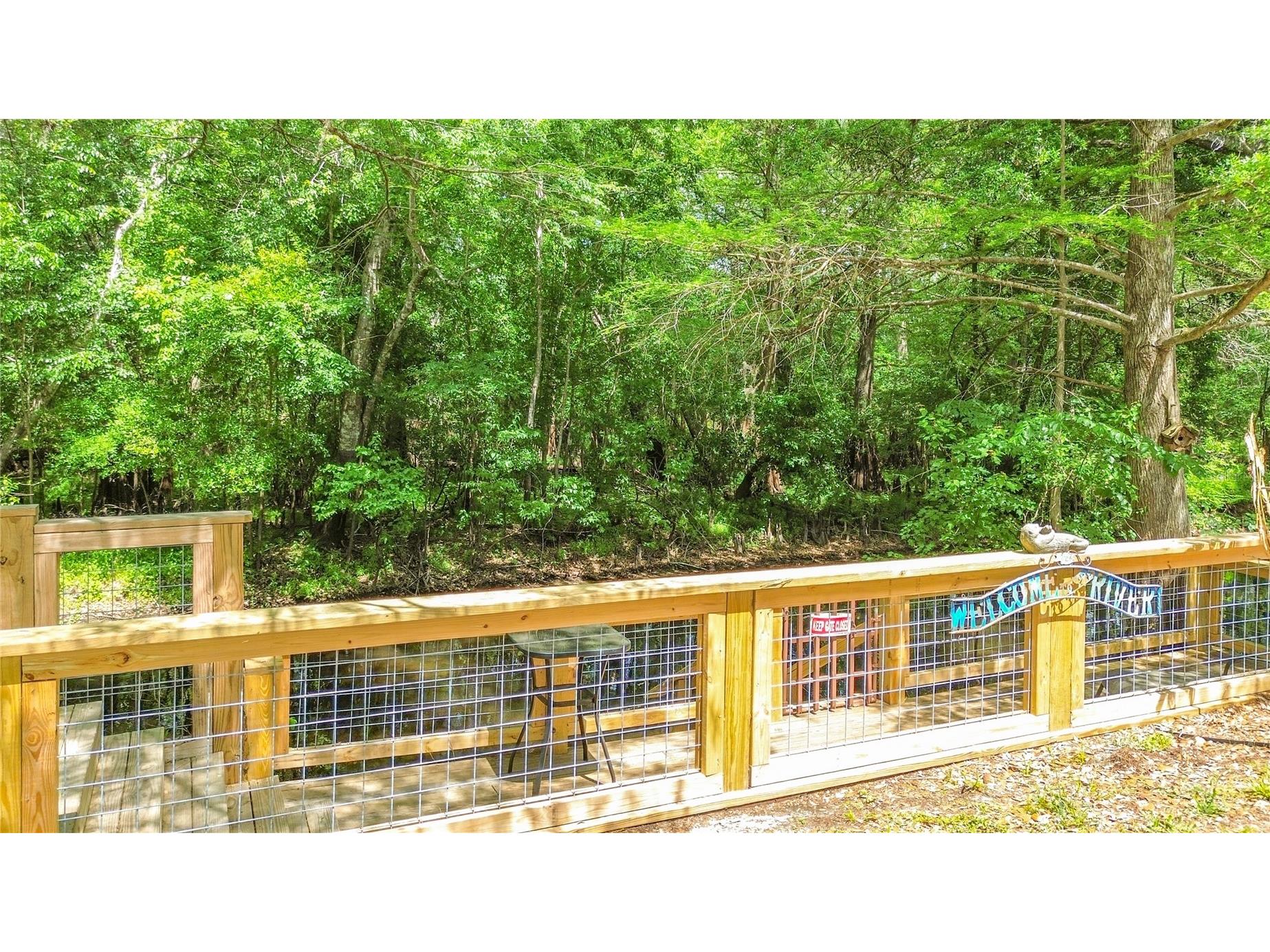 4129 E Riverside Drive Dunnellon FL 34434 - WITHLACOOCHEE RIVER OM722277 image15