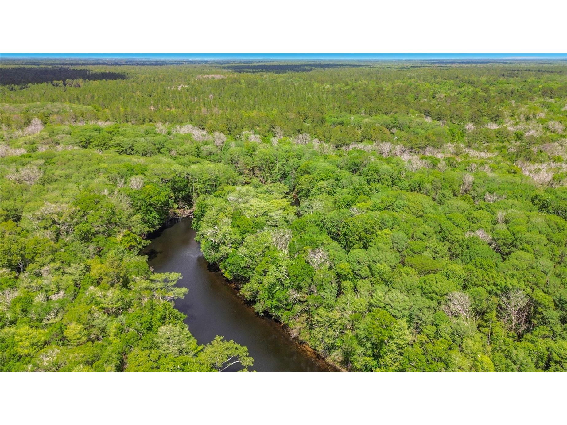 4129 E Riverside Drive Dunnellon FL 34434 - WITHLACOOCHEE RIVER OM722277 image2