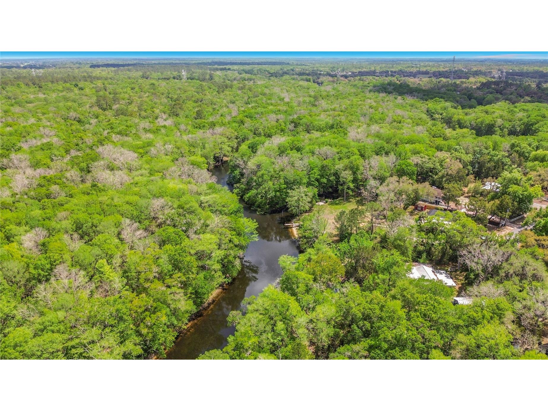 4129 E Riverside Drive Dunnellon FL 34434 - WITHLACOOCHEE RIVER OM722277 image4