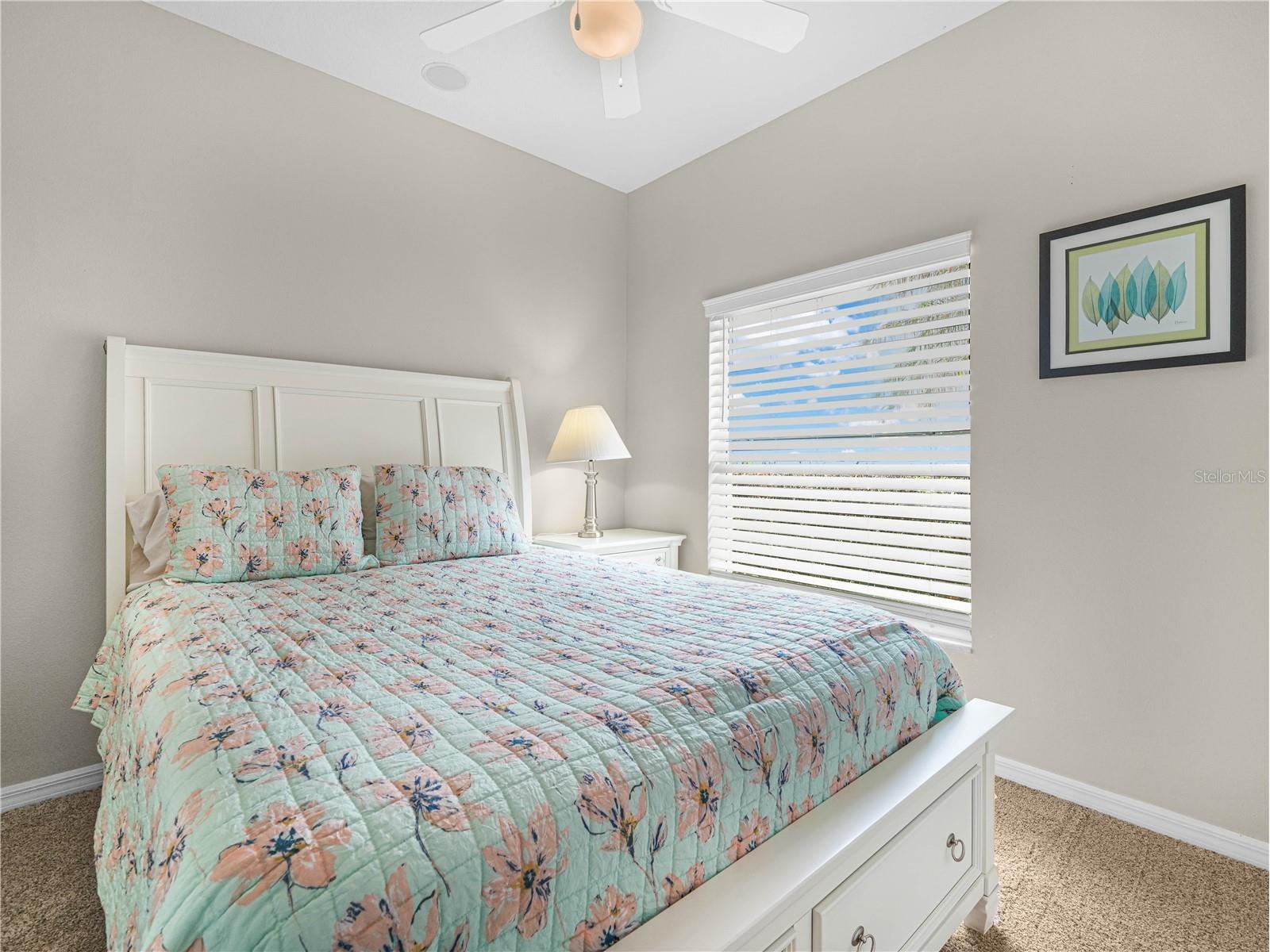 4129 Limerick Drive Lake Wales FL 33859 - LAKE ASHTON P4938359 image16