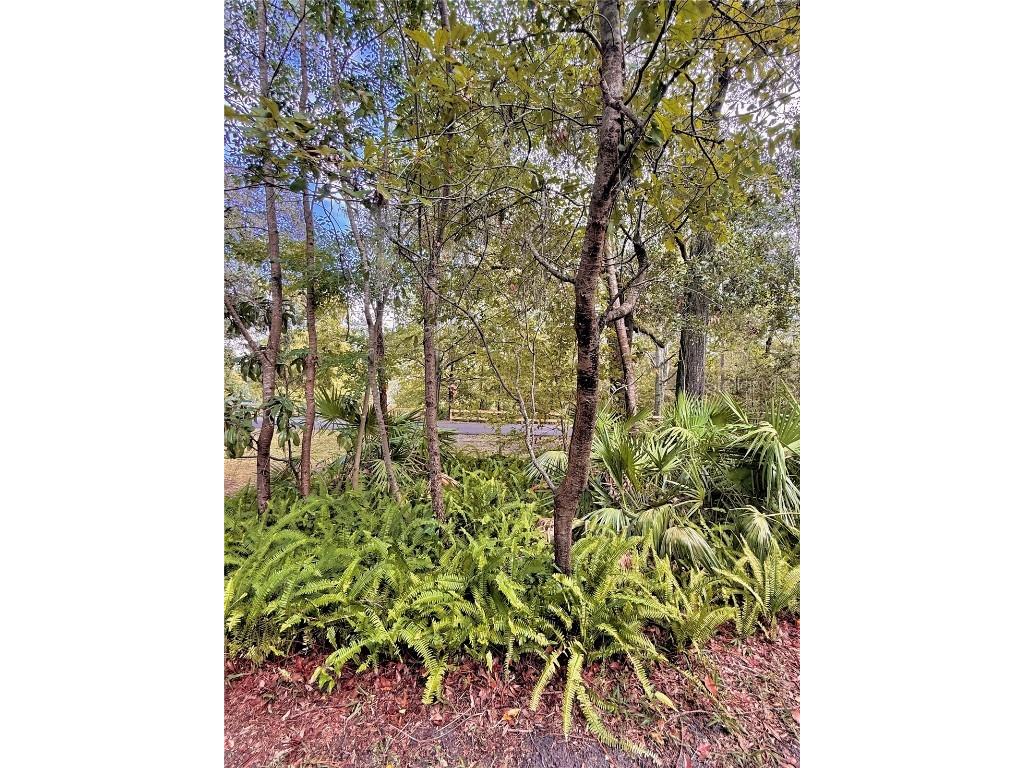 4129 NW 43rd Terrace #60 Gainesville FL 32606 GC534547 image23