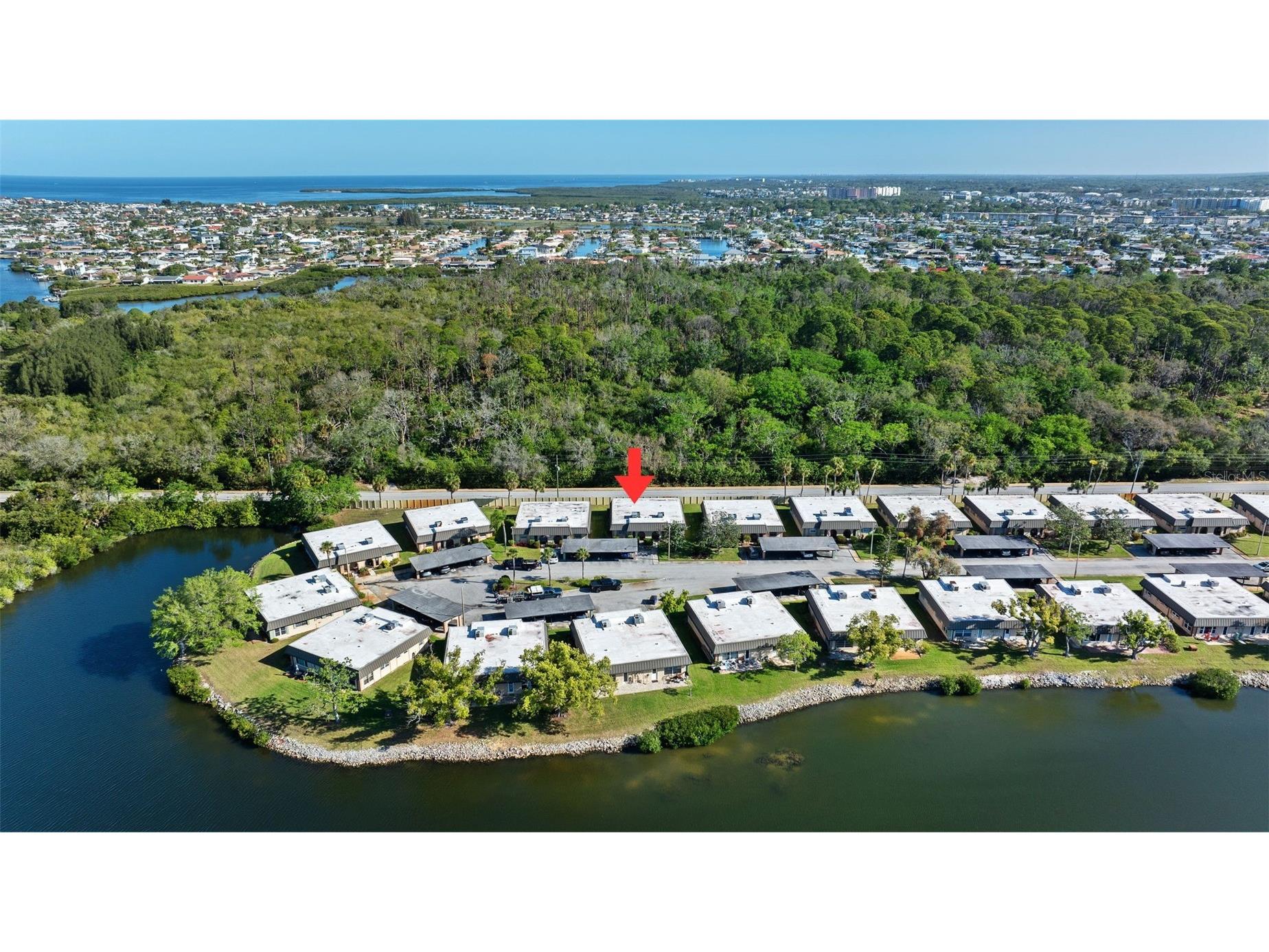 4129 Stratford Drive #4129 New Port Richey FL 34652 TB8493229 image33