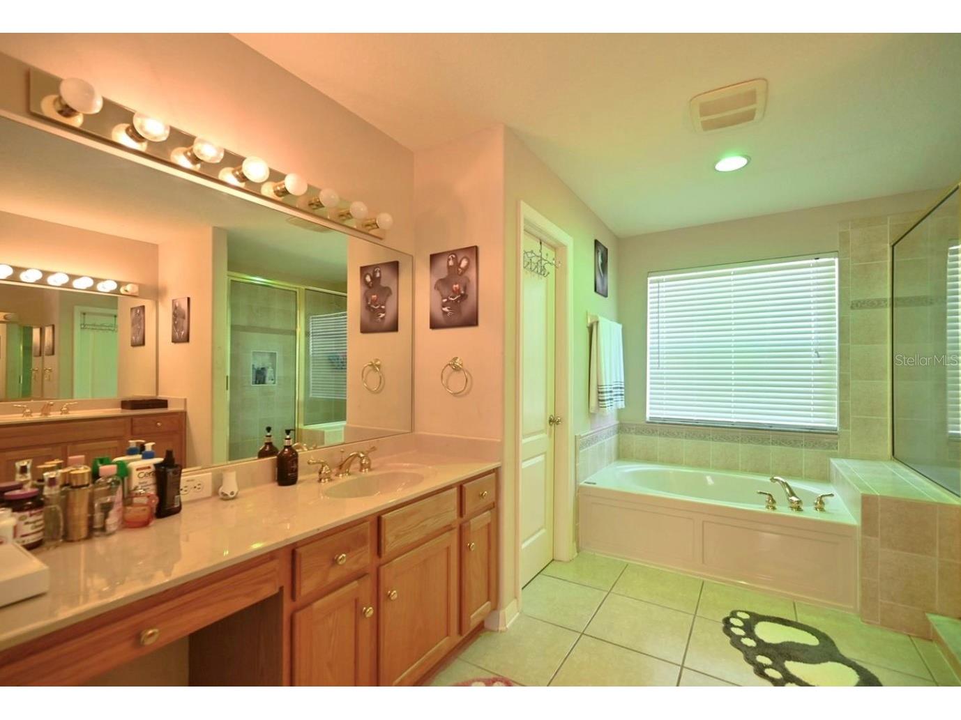 4129 Tarkington Drive Land O Lakes FL 34639 O6387858 image22