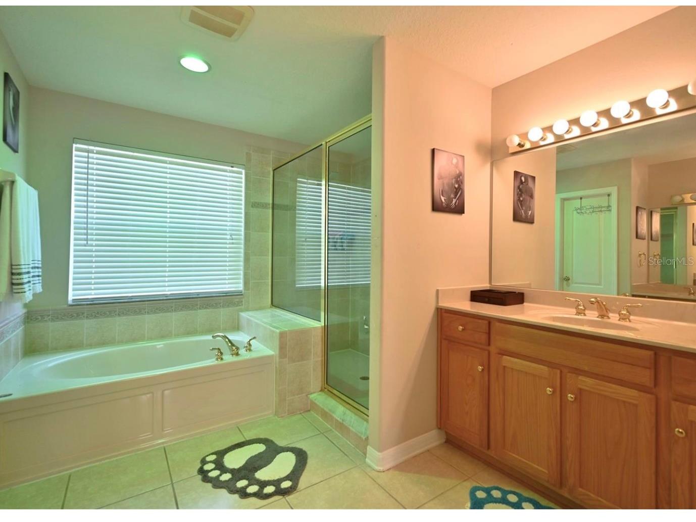 4129 Tarkington Drive Land O Lakes FL 34639 O6387858 image23