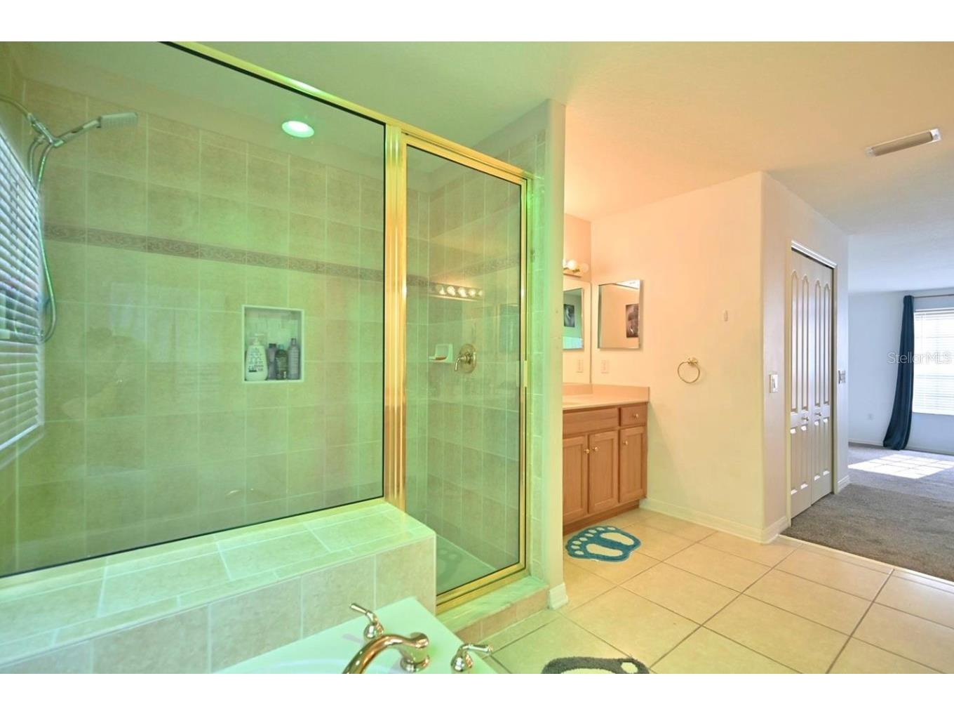 4129 Tarkington Drive Land O Lakes FL 34639 O6387858 image24