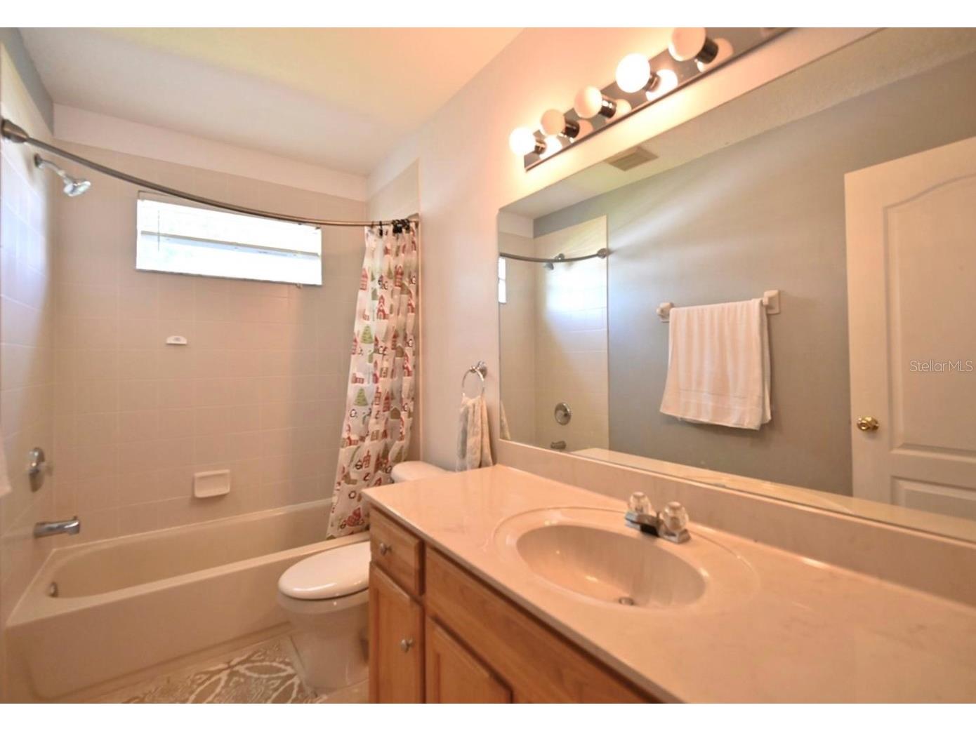 4129 Tarkington Drive Land O Lakes FL 34639 O6387858 image30